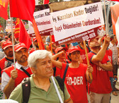 _mgl0674.jpg